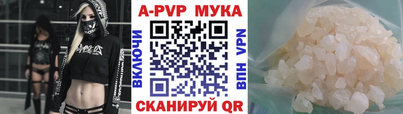 APVP СК Кемь