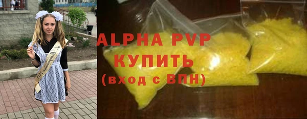 хмурый Каменка