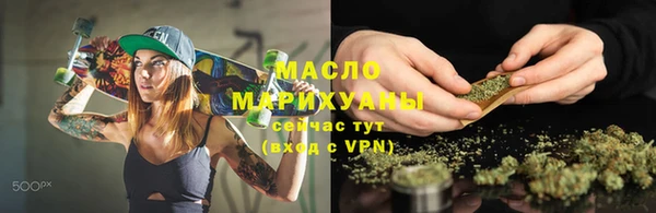 хмурый Каменка