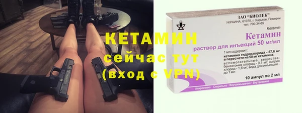 хмурый Каменка