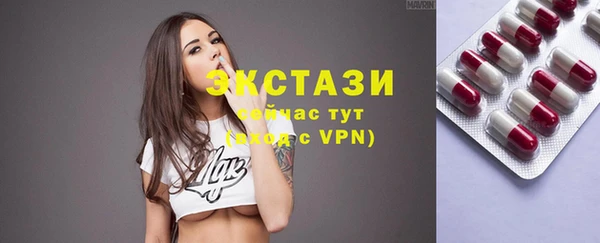хмурый Каменка