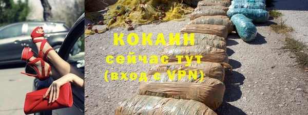 хмурый Каменка