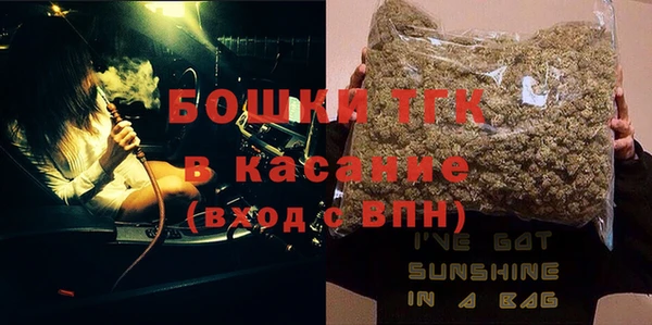 хмурый Каменка