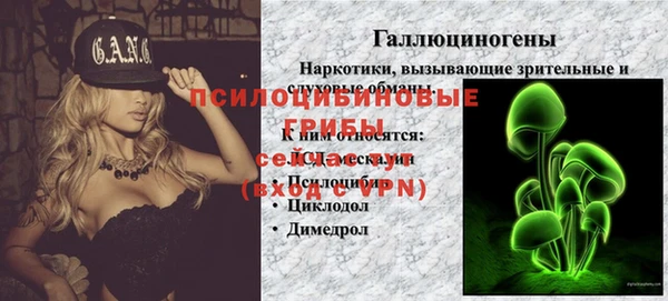 СК Каменск-Шахтинский
