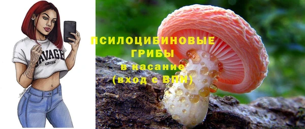 СК Каменск-Шахтинский