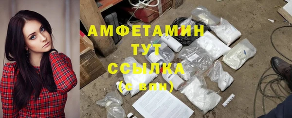 хмурый Каменка