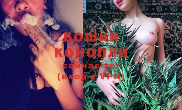 СК Каменск-Шахтинский