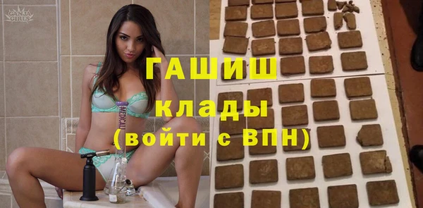 хмурый Каменка
