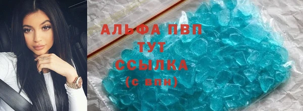 винт Инта