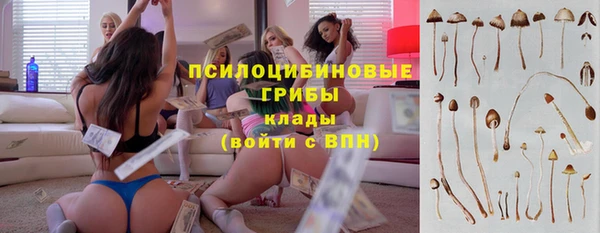 хмурый Каменка