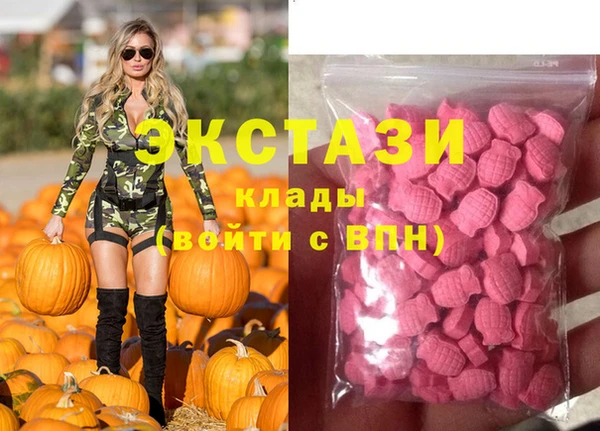 хмурый Каменка