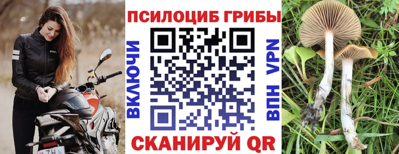 Псилоцибиновые грибы GOLDEN TEACHER  Купить  Кемь 